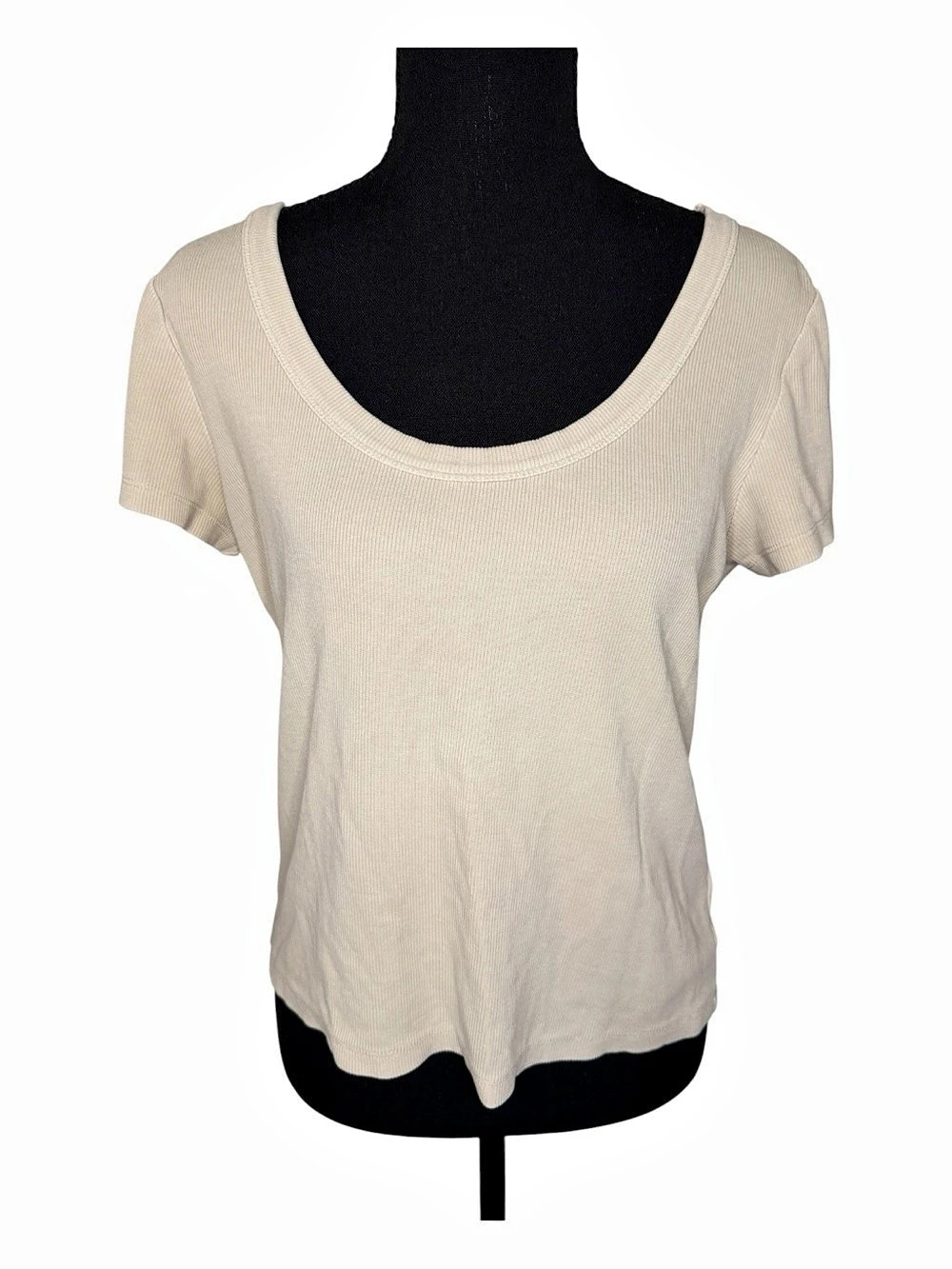 Marine Layer Lexi Rib Scoop Tee Short Sleeve Cream Large